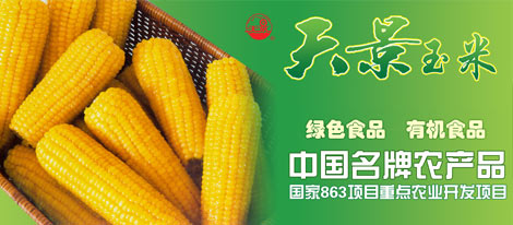 天景玉米        1737投票