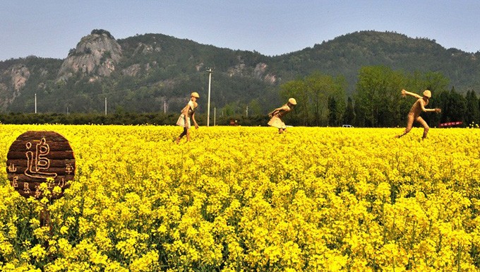油菜花旅游