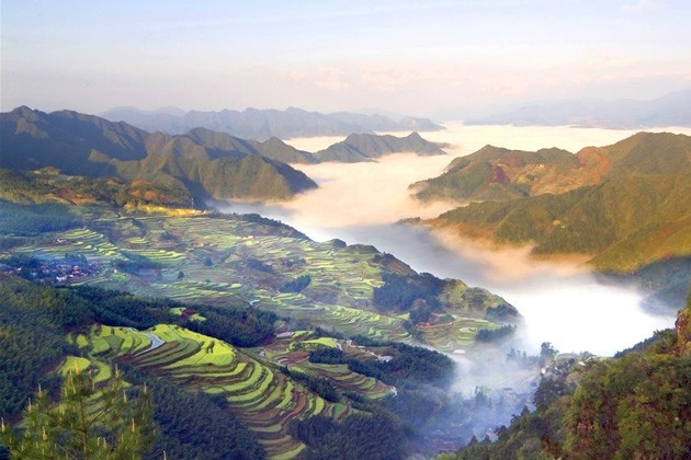 莲都好风光 畅游丽水好风景