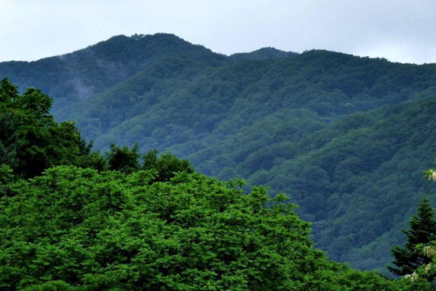 白鸡腰森林公园通化市区的一道天然屏障
