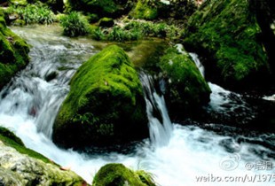 大山村的水