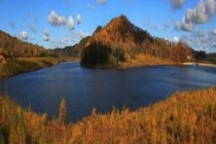 汤旺河奇石地貌伊春原始味道林海奇石景区一日游_伊春