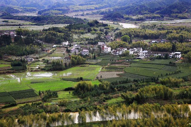 千亩梨园水上渔乡 南平光泽两日游_南平攻略\