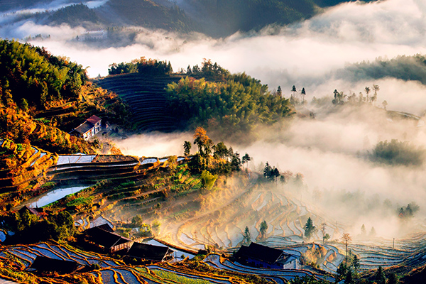 紫鹊界梯田国家级风景区