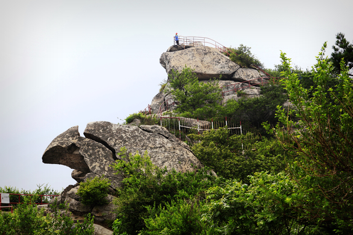 闲居鸡公山 彻底"洗洗肺"