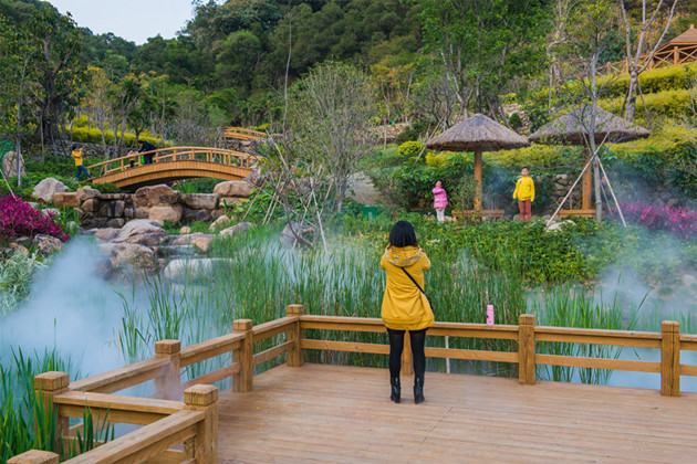 大屏山森林公园  看完海沧大桥后,可向左侧进入大屏山公园.