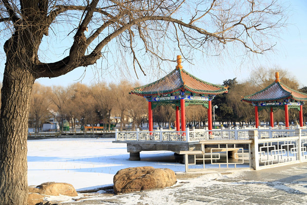 史上最长寒假来长春感受不一样的校园秘籍_长齐天大圣游戏机雪景图片