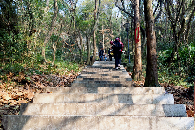 南山公园,都昌县居民休闲散步的好地方