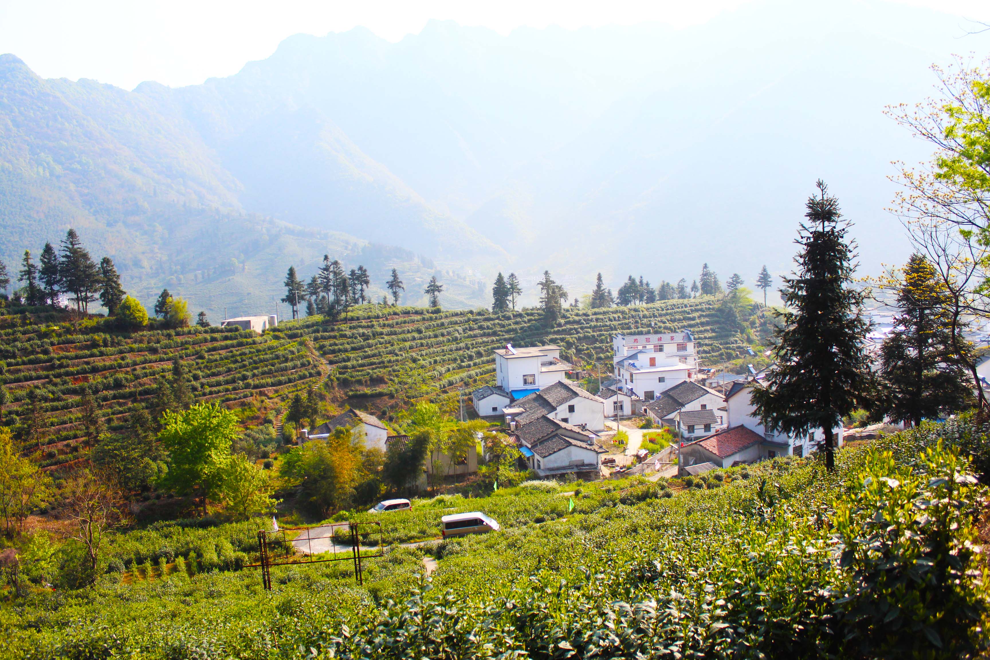 荡舟太平湖 采茶猴坑村_黄山攻略\景点\线路