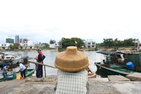 潭门吃海鲜_深圳澳头吃海鲜_钟欣桐艳吃鸡门照毛