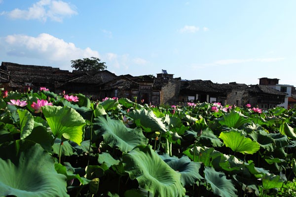 莲花古镇