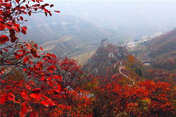 北国秋游赏红地 枫情万种青天河_焦作攻略\景