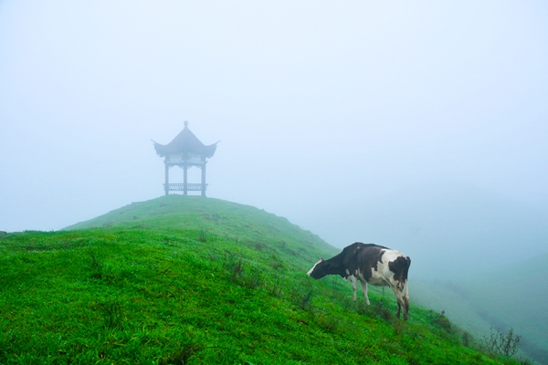 在美丽的城步南山发发呆