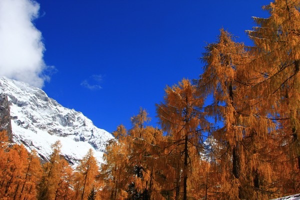 四姑娘山 行走在雪山脚下