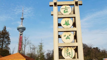 古林公园 赏花烧烤约起来