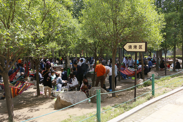 洞林湖畔踏青烧烤看花海