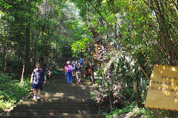 歌乐山的登山步道在川外校区里歌乐山属于重庆主城内的高阶版难度的