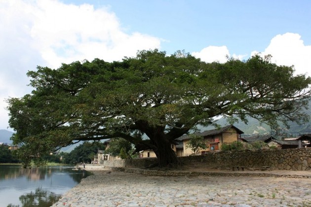 云水谣中国最美乡村之首,电影《云水谣》拍摄基地.