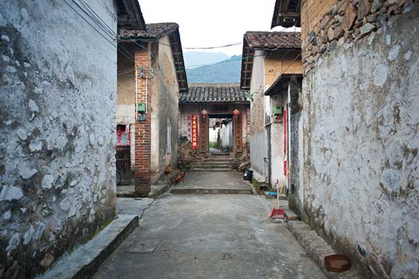 吃完烧鸡徒步从化最美乡村