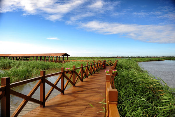 天津七里海国家湿地公园 享誉京津冀的天然湿地